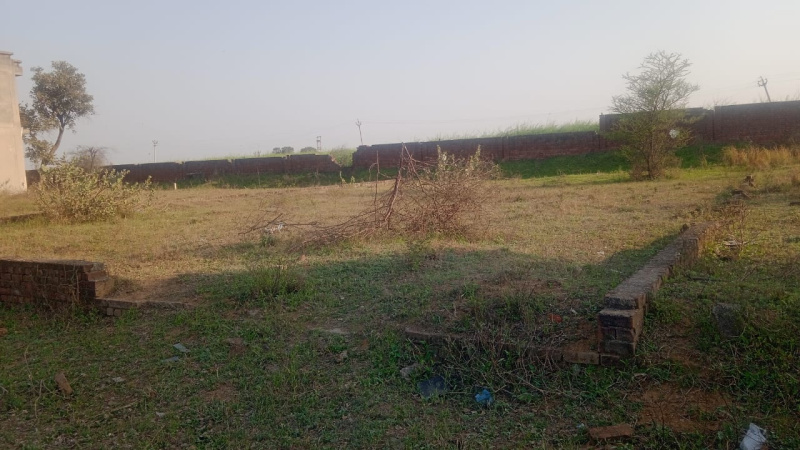 1 RK Villa 500 Sq.ft. for Sale in Marot, Jhajjar