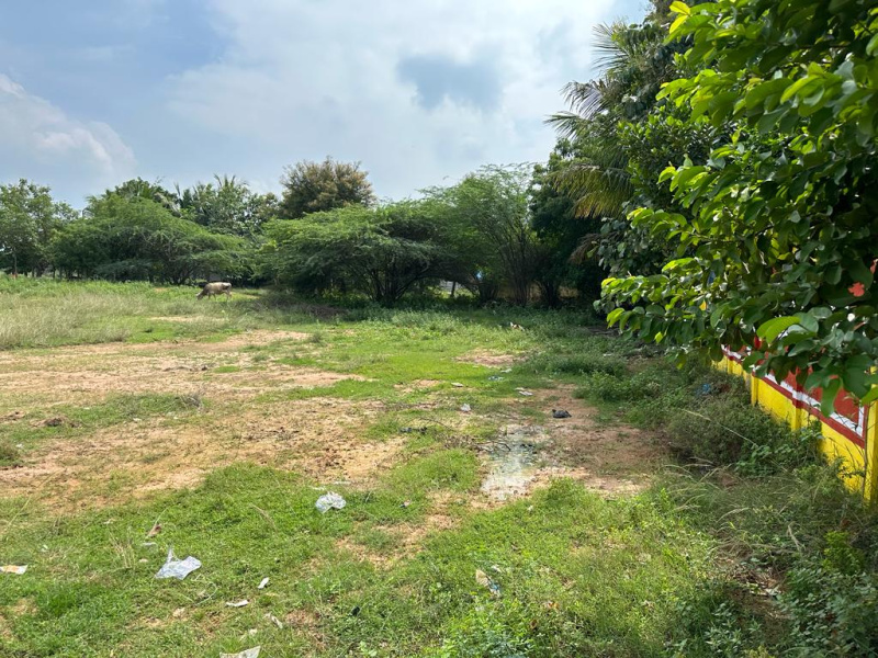  Residential Plot 6500 Sq.ft. for Sale in Mariyamman Kovil Rd, Thanjavur