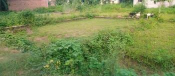  Residential Plot for Sale in Motiram Adda, Gorakhpur