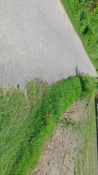  Agricultural Land for Sale in Suar, Rampur