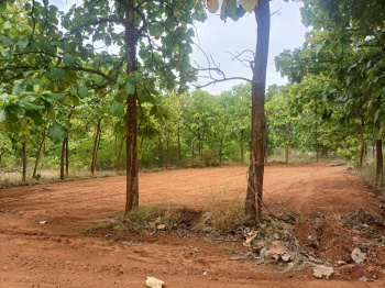  Residential Plot for Sale in Periyanaickenpalayam, Coimbatore