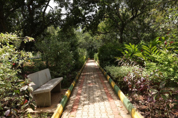  Residential Plot for Sale in Kaggalipura, Bangalore