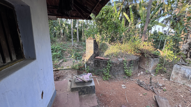 1 BHK Farm House 41328 Sq.ft. for Sale in Velanthavalam, Palakkad