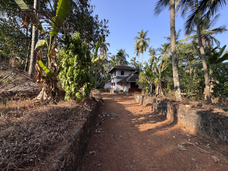 1.5 BHK House 41328 Sq.ft. for Sale in Velanthavalam, Palakkad