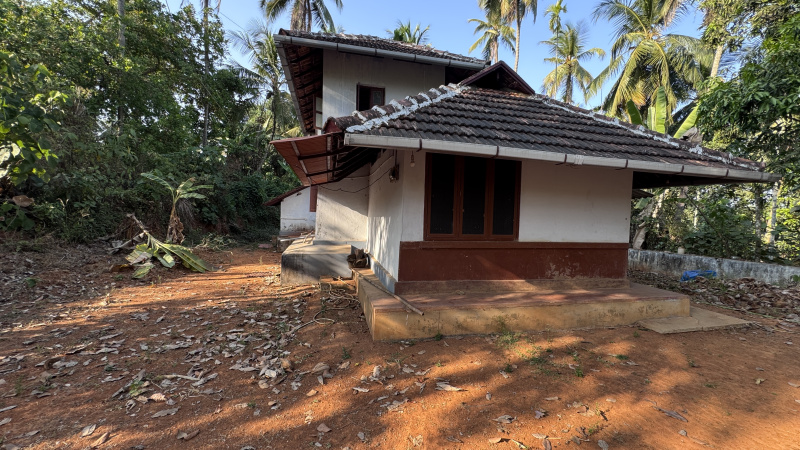 1.5 BHK House 41328 Sq.ft. for Sale in Velanthavalam, Palakkad
