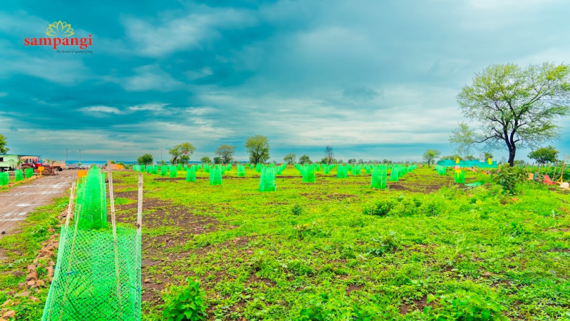  Agricultural Land 685 Sq. Yards for Sale in Narayankhed, Sangareddy