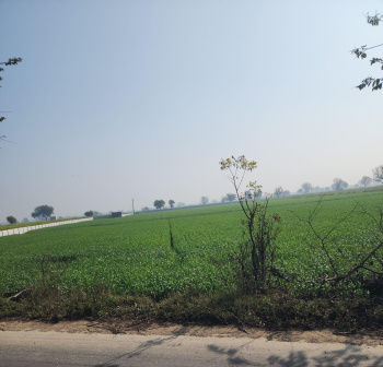  Commercial Land for Sale in Bharawas, Rewari