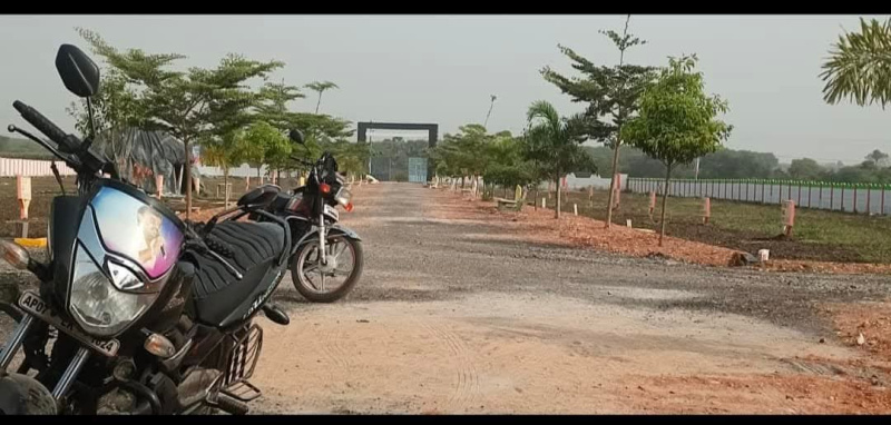  Residential Plot 200 Sq. Yards for Sale in Amaravathi Road, Guntur