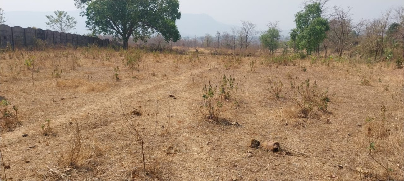  Agricultural Land 10 Guntha for Sale in Karjat, Mumbai