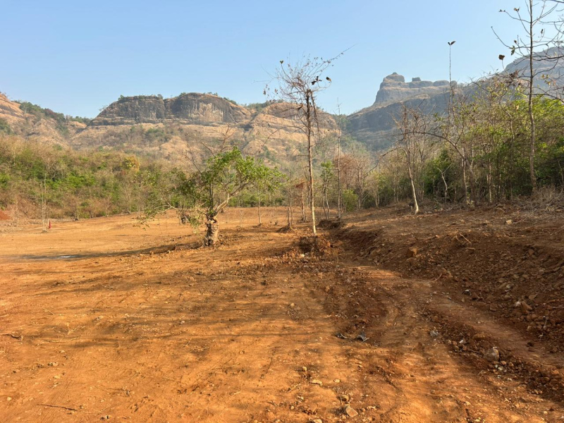  187 Guntha Agricultural/Farm Land for Sale in Karjat, Raigad