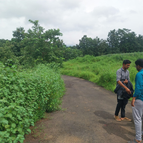  100 Guntha Agricultural/Farm Land for Sale in Karjat, Raigad