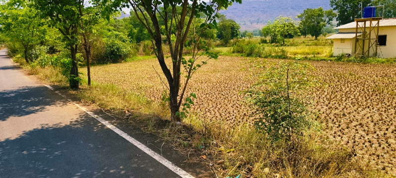  76 Guntha Agricultural/Farm Land for Sale in Karjat, Raigad