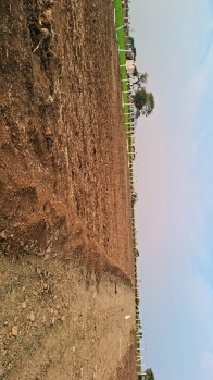  Agricultural Land for Sale in Rau Road, Indore