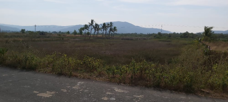  Agricultural Land 57 Guntha for Sale in Murud, Raigad