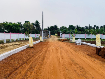  Residential Plot for Sale in Malatipatpur, Puri