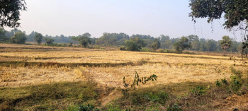  Residential Plot for Sale in Sonamukhi, Bankura