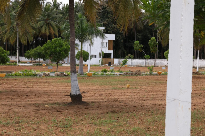  Residential Plot 1200 Sq.ft. for Sale in Kaggalipura, Bangalore