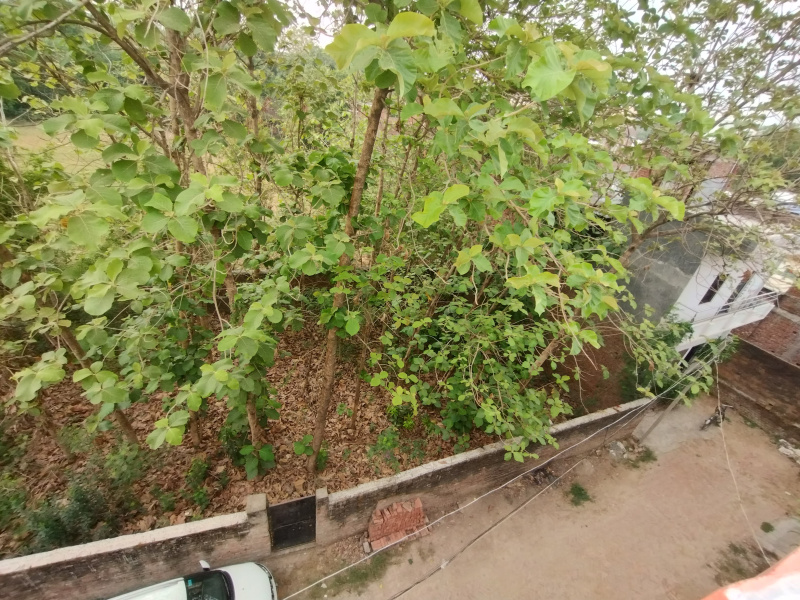 Residential Plot 2800 Sq.ft. for Sale in Shivpur, Varanasi