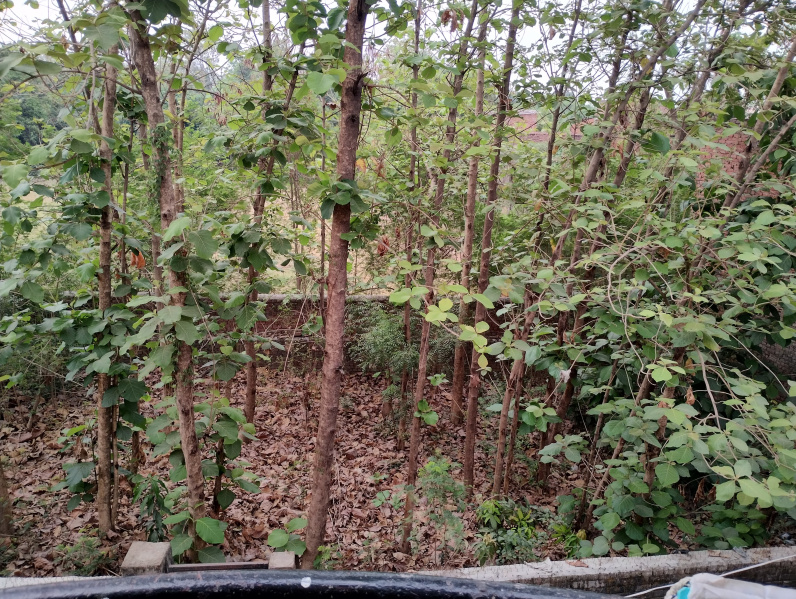  Residential Plot 2800 Sq.ft. for Sale in Shivpur, Varanasi