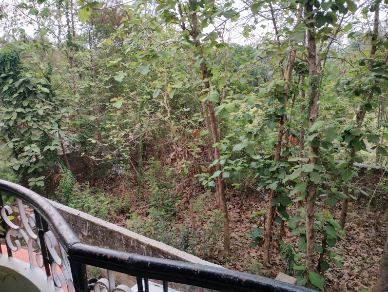  Residential Plot 2800 Sq.ft. for Sale in Shivpur, Varanasi