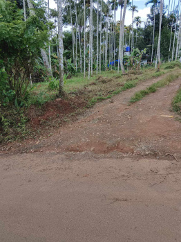  Residential Plot for Sale in Sulthan Bathery, Wayanad