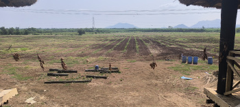  Agricultural Land for Sale in Narasaraopet, Guntur