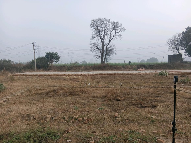  Agricultural Land 5000 Sq.ft. for Sale in Dhamna, Nagpur