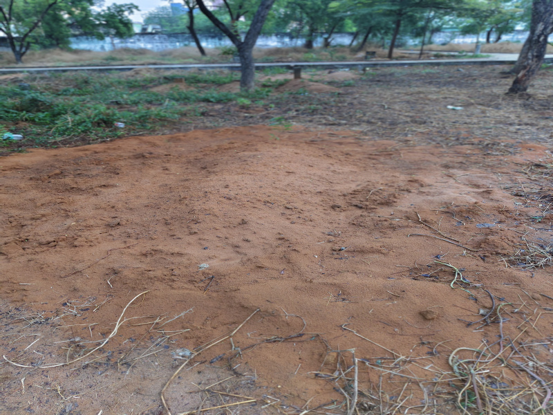 Agricultural Land 143 Acre for Sale in Madhugiri, Tumkur