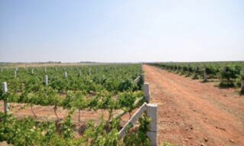  Factory 143 Acre for Sale in Madhugiri, Tumkur