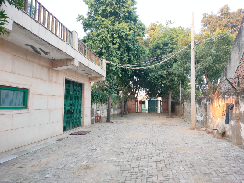  Residential Plot 100 Sq. Yards for Sale in Dadri, Gautam Buddha Nagar