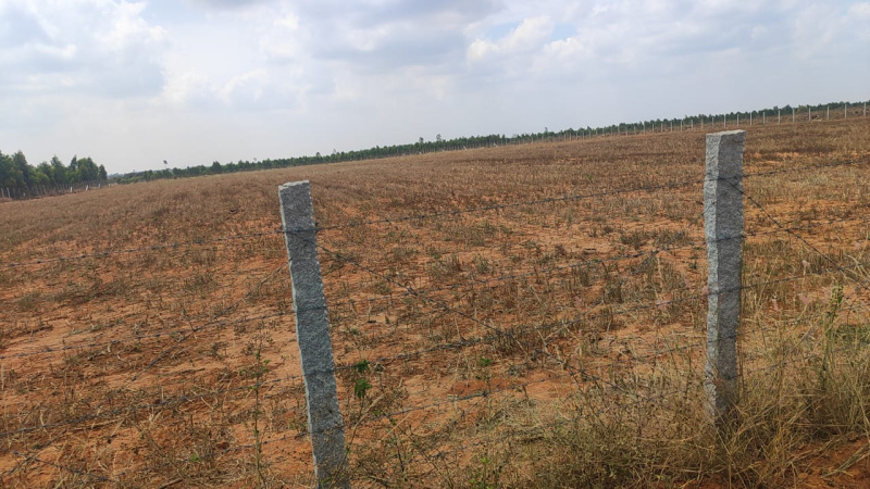  Agricultural Land 1 Acre for Sale in Achettipalli, Hosur