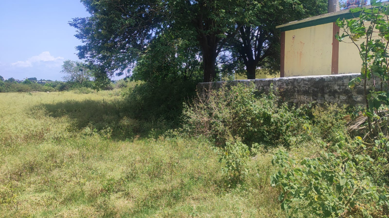  Agricultural Land 50 Sq.ft. for Sale in Denkanikottai, Hosur