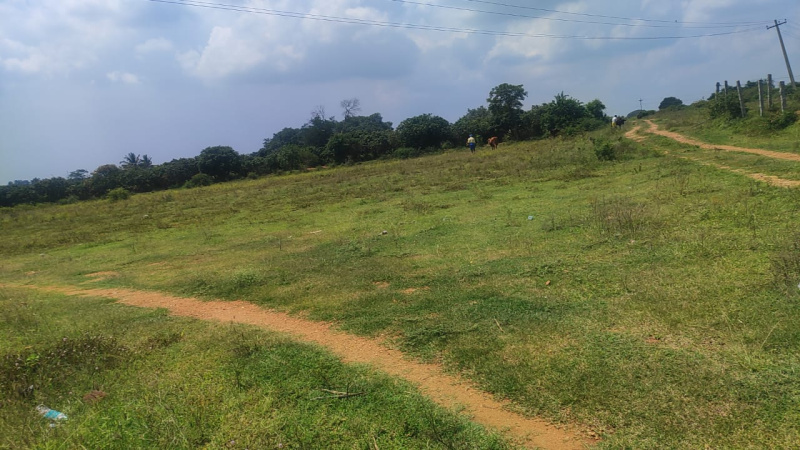  20 Acre Agricultural/Farm Land for Sale in Kelamangalam Road, Hosur