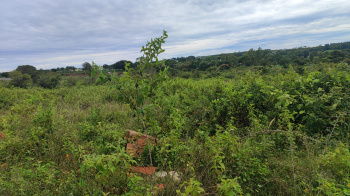  Residential Plot for Sale in Denkanikottai, Hosur