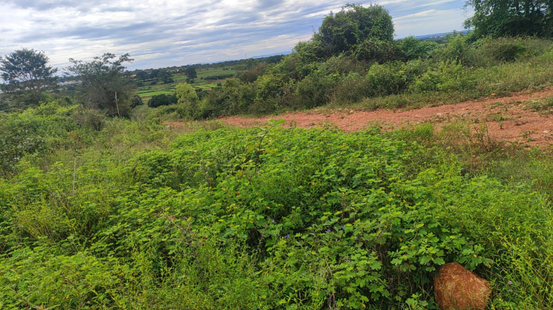 10000 Sq.ft. Residential Plot for Sale in Denkanikottai, Hosur