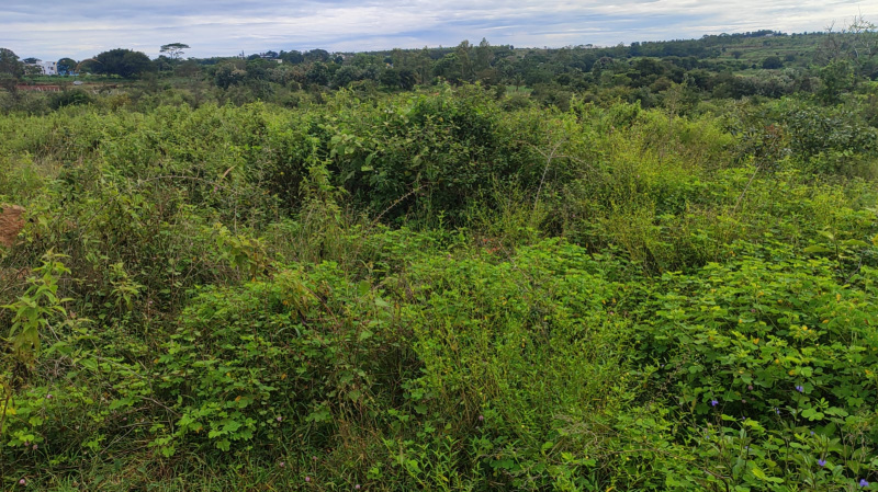 10000 Sq.ft. Residential Plot for Sale in Denkanikottai, Hosur