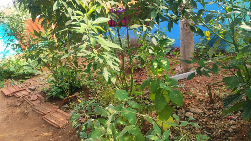 1 BHK 5 Cent House for Sale in Kelamangalam, Krishnagiri