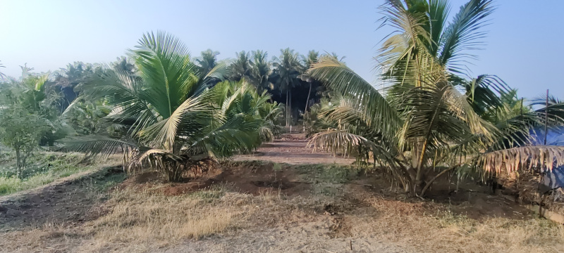  Agricultural Land 1 Acre for Sale in Periya Negamam, Coimbatore