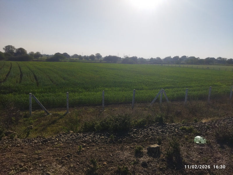  Agricultural Land 2 Ares for Sale in Sanawad, Khargone