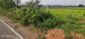  Agricultural Land for Sale in Annavaram, Kakinada