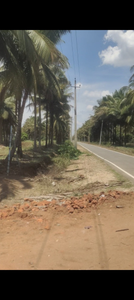  Agricultural Land 44 Acre for Sale in Heggadadevana Kote, Mysore
