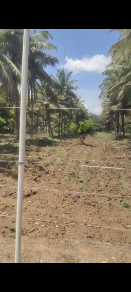  Agricultural Land 44 Acre for Sale in Heggadadevana Kote, Mysore
