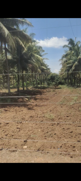  Agricultural Land 44 Acre for Sale in Heggadadevana Kote, Mysore