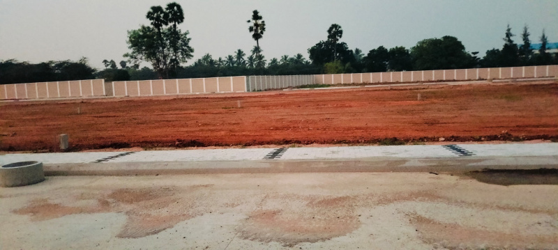  Residential Plot 1200 Sq.ft. for Sale in Fathima Nagar, Tiruchirappalli