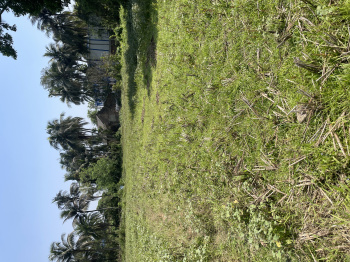  Agricultural Land for Sale in Uluberia, Howrah