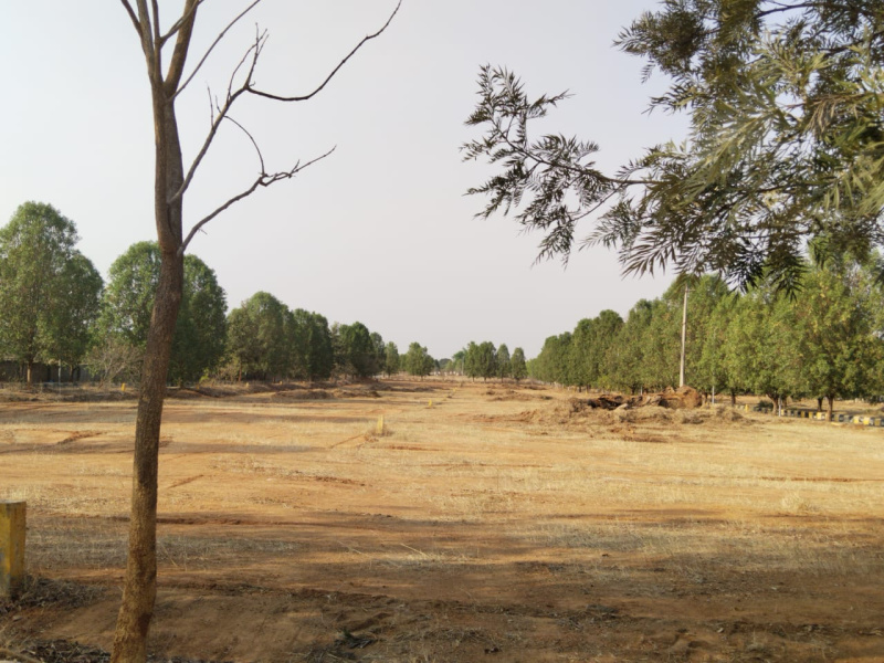  Residential Plot 220 Sq. Yards for Sale in Kadthal, Hyderabad