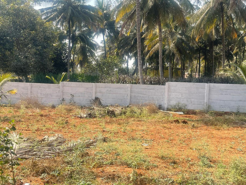  Residential Plot 1200 Sq.ft. for Sale in Kumbalgodu, Bangalore