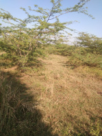  Residential Plot for Sale in Panambakkam, Thiruvallur