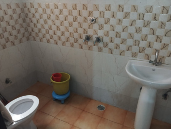 8.0 BHK Builder Floors for Rent in Sector 52, Chandigarh