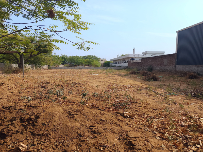  Residential Plot 4500 Sq.ft. for Rent in Mangyawas, Jaipur